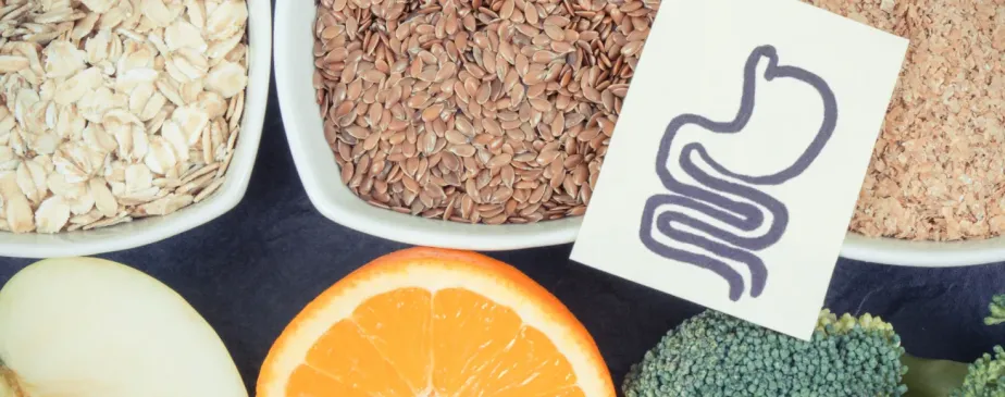 Ilustração de alimentos ricos em fibras como legumes, frutas e cereais integrais associados ao sistema digestivo, representando o equilíbrio da saúde intestinal e do microbioma.